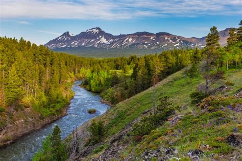 helena-lewis and clark national forest